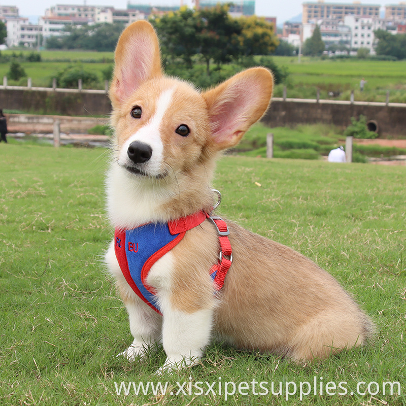 Wholesale Fashion Dog Harness And Leash